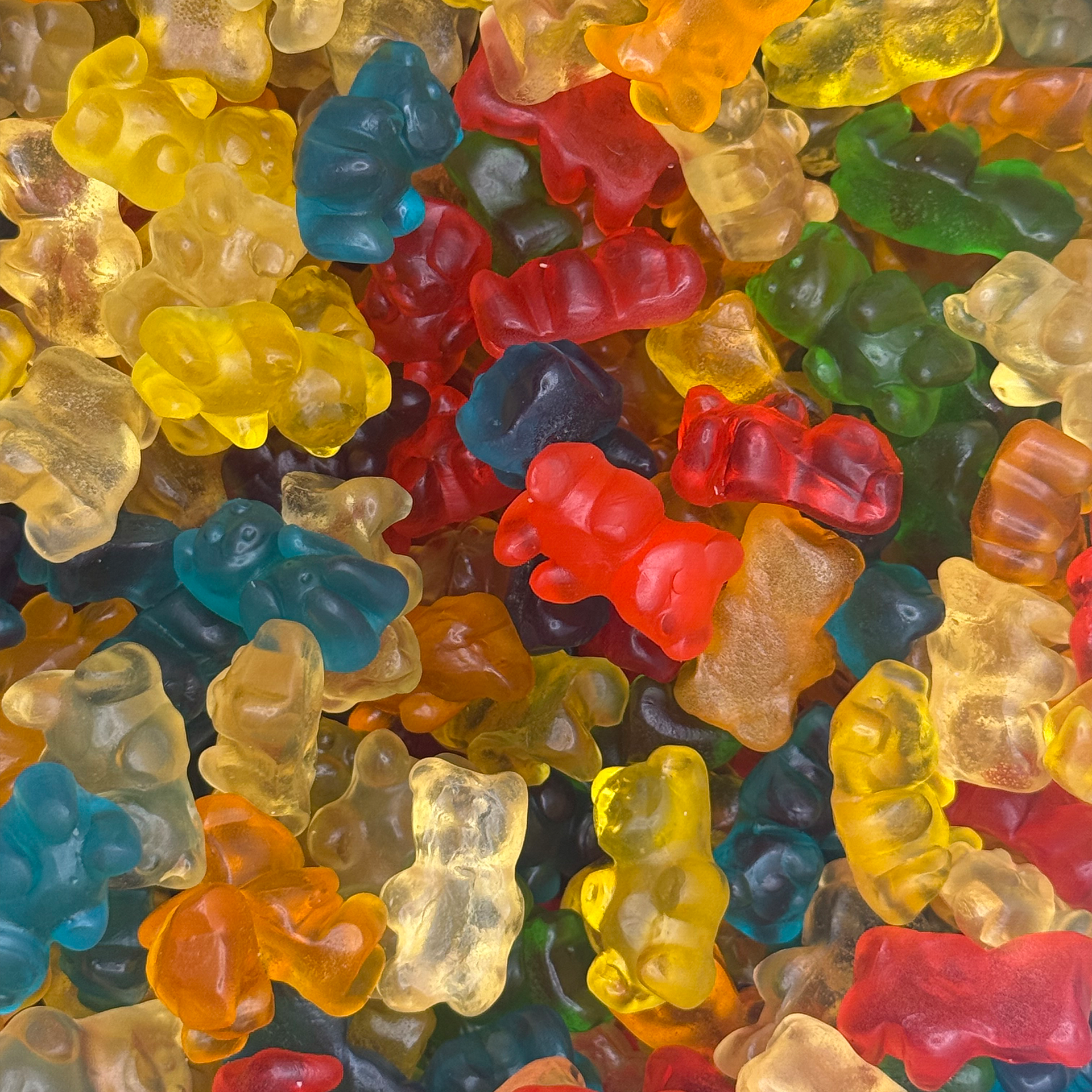 Gold Bears