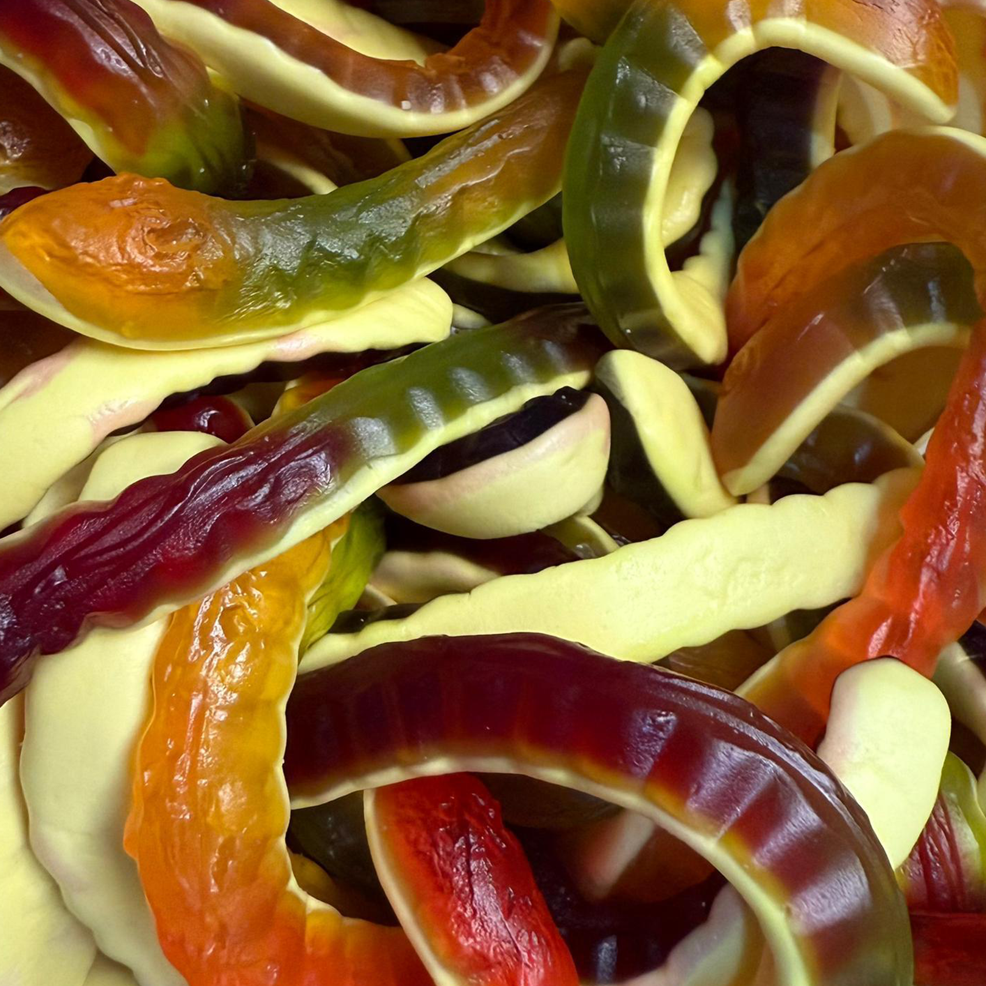 Yellow Belly Snakes